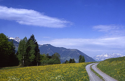 Between Schnifis and Roens